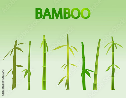 Green bamboo vector element set
