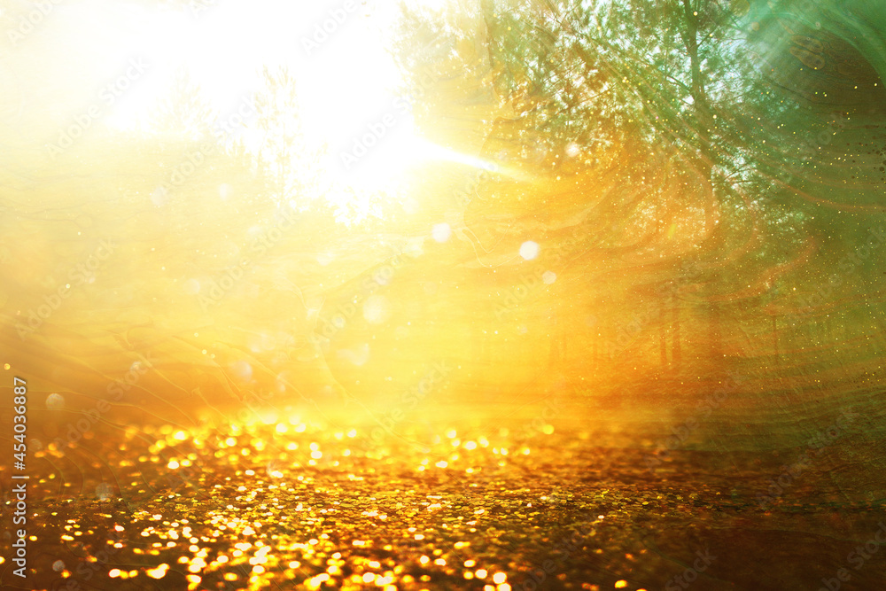 blurred abstract photo of light burst among trees and glitter golden bokeh lights blurred abstract photo of light burst among trees and glitter golden bokeh lights