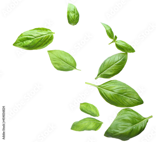 Flying basil leaves on white background