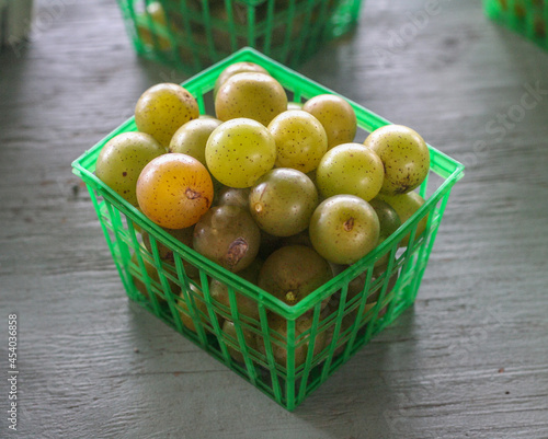 Muscadine
