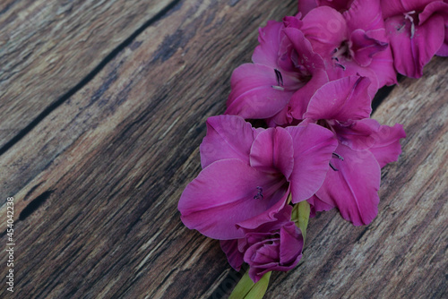 Deep pink gladioli flowers lying on coarse dark wood table