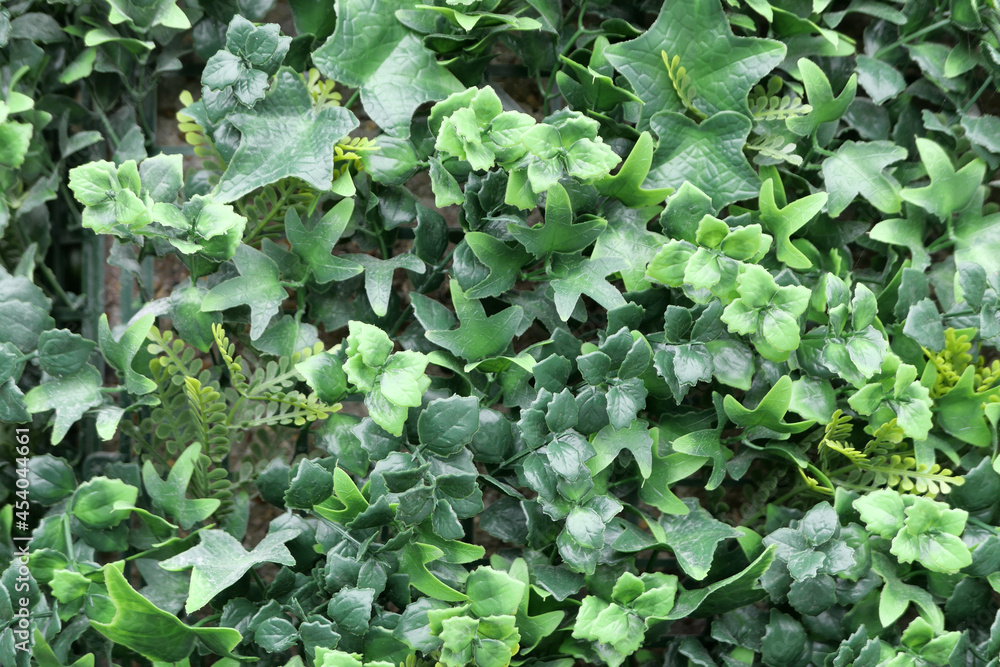 Full frame imitation plastic foliage background showing ivy leaf detail Full frame imitation plastic foliage background showing ivy leaf detail