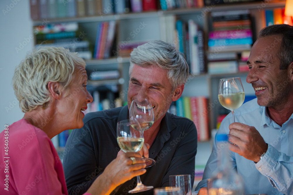 Older friends drinking wine Older friends drinking wine