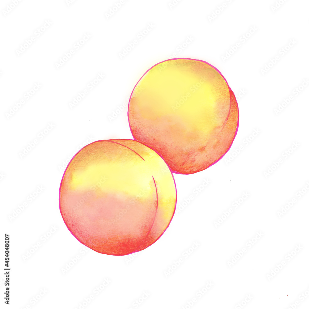 watercolor illustration of yellow peaches isolated on white background watercolor illustration of yellow peaches isolated on white background