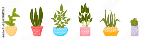 Set of home plants in pots. Vector collection of house plants in flat style.