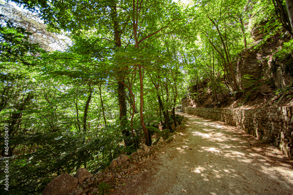 Part of the serpentine pedestrian road in the mountains of the Crimea among the trees Part of the serpentine pedestrian road in the mountains of the Crimea among the trees