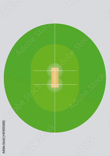 Cricket field isolated. vector illustration