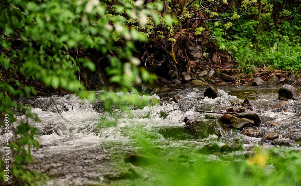 Mountain river in a Ochotnica Gorna village Mountain river in a Ochotnica Gorna village