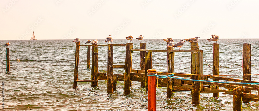 Anlegestelle für Boot, Insel Rügen an der Ostsee,  Wellenbrecher,  Breakwater,  Ostseeküsten Landschaft,     Ostseebad, Möwen, Postkarten Landschaft   