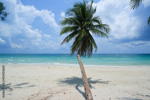 Fototapeta Naklejka Na Ścianę i Meble -  Coconut tree or palm tree at Thung Wua Laen Beach in Chomphon province Thailand, viewpoint of tropical beach seaside and blue sky