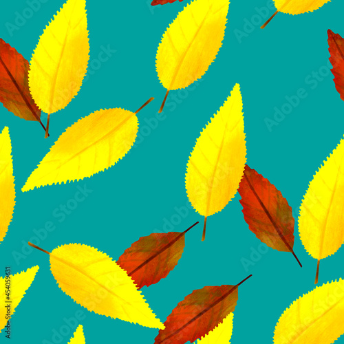 Seamless pattern Botanical illustration Autumn leaves