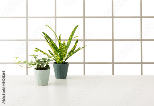 窓とテーブルの室内イメージ photo