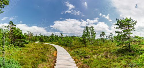 Holzweg durch das Schwarze Moor in der Rhön