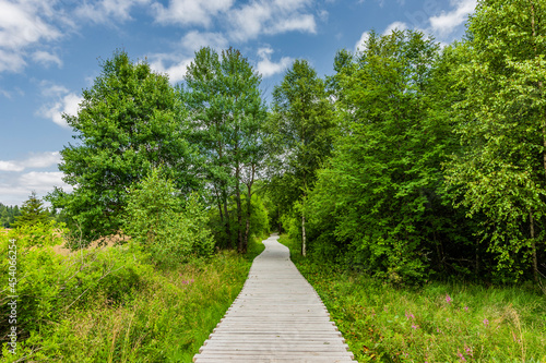 Moorpfad durch das Schwarze Moor in der Rhön
