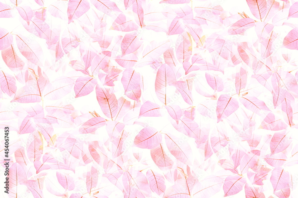 Soft bright pink leaves pattern for  romance texture and background