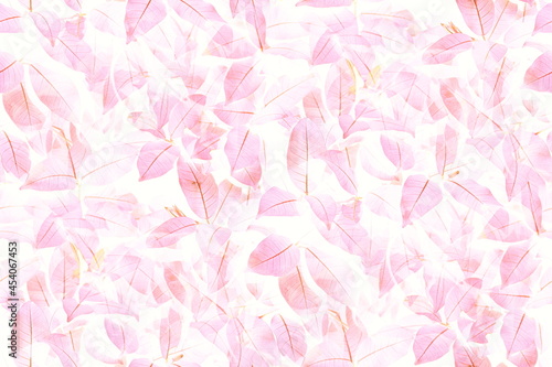 Soft bright pink leaves pattern for romance texture and background