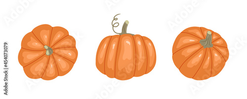 Pumpkin set. Top, front and side views. Vector illustration in hand-drawn style.