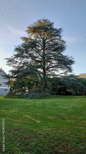 VILLEBOIS (Ain) photo