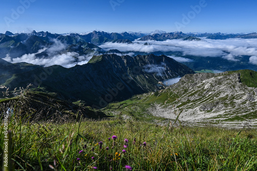 Ausblick in die Allgäuer Alpen