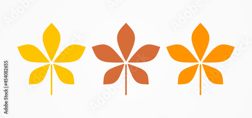 Autumn chestnut leaves on white background