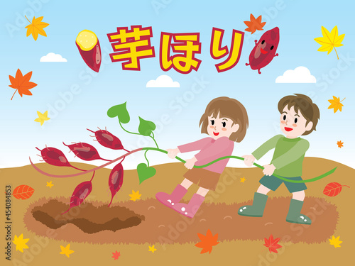 秋に芋掘りをする子供たち