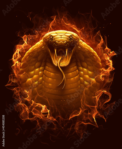 Burinig snake cobra digital painting photo