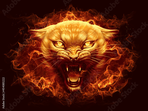 Photography Fire cat head with flame digital painting.