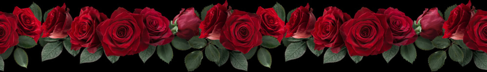 Seamless border with flowers. Red roses isolated on black background.