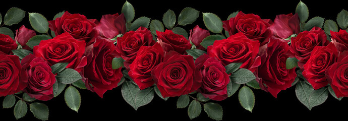 Seamless border with flowers. Red roses isolated on black background.