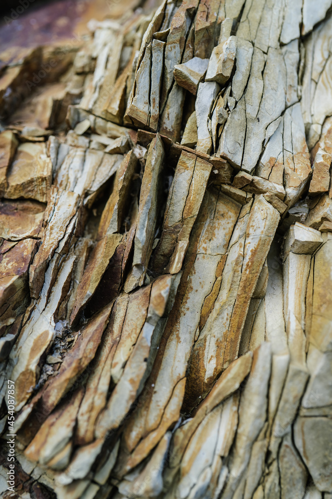 The rocky texture of an old sea stone. The rocky texture of an old sea stone.