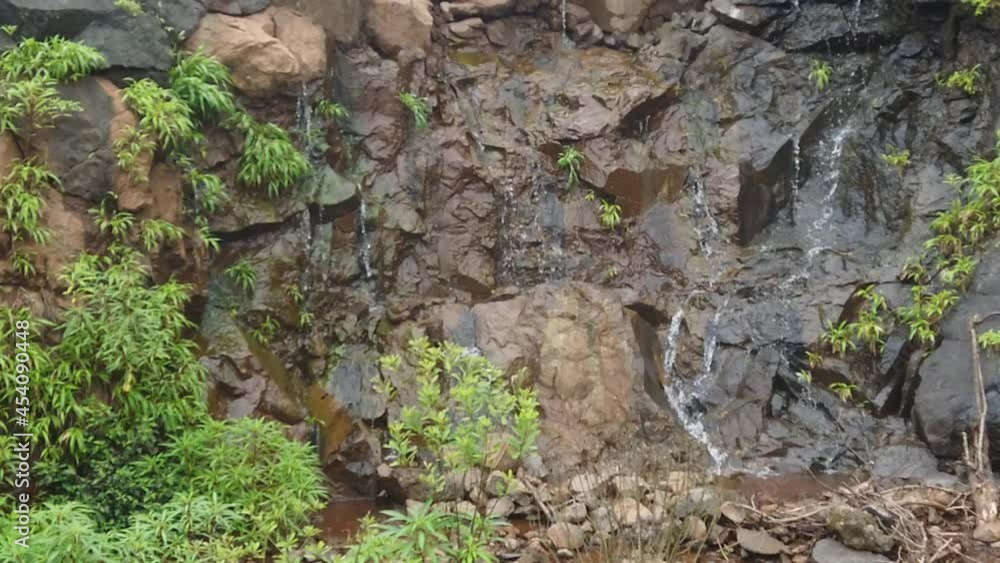 Beautiful scenic small stream with water falling from the rocks, quite and calm water falling on the rocks with tiny ferns and plants Beautiful scenic small stream with water falling from the rocks, quite and calm water falling on the rocks with tiny ferns and plants