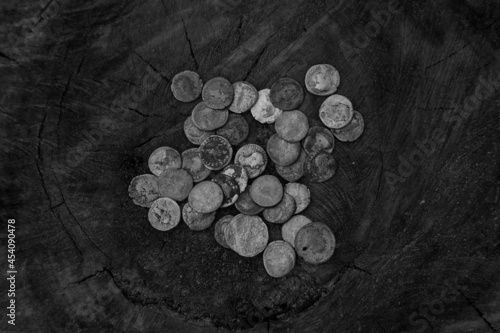 A lot of very old coins in black and white