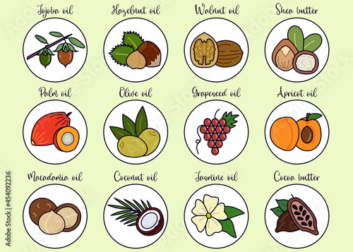 Nut, seed and flover oil line icon set. Collection of colorful ingredients for plant oil and butter. Flat vector illustration
