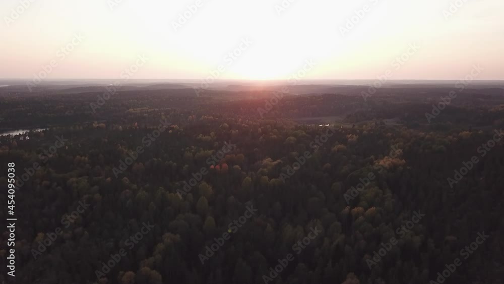 sunset in the forest sunset in the forest