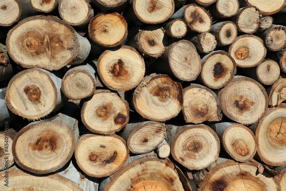 Stack of chopped firewood logs