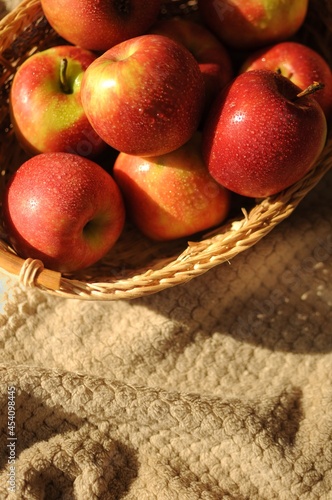 Obraz na plátně Harvest of red ripe apples in a straw basket