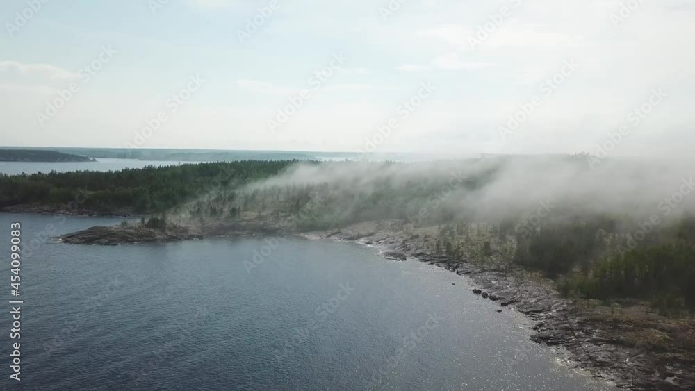 fog in the forest and lake fog in the forest and lake