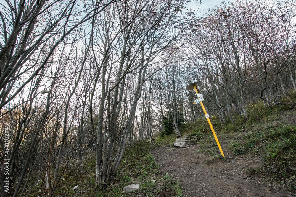 Fototapeta premium View from Mala Fatra national park. Panoramic mountain landscape in Slovakia near Terchova. Autumn colors of nature.