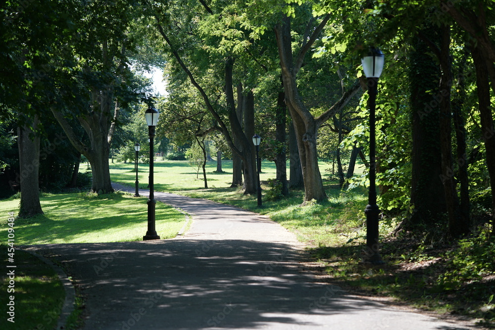 Obraz premium Deserted path in city park with black streetlamp in summer