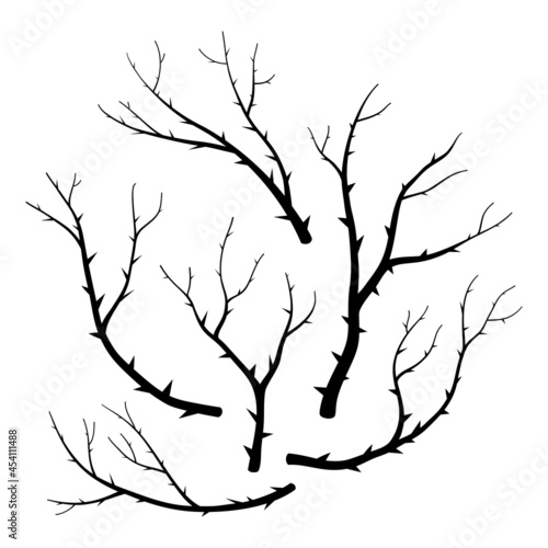 Silhouette of branches with sharp thorns. Vector illustration isolated on white background. A set of gloomy branches for Halloween decoration.