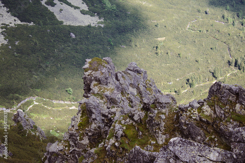 moss covered rocks