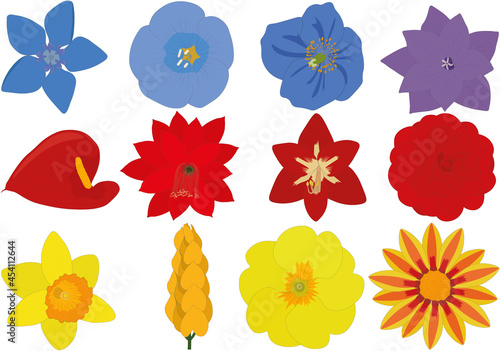Bright blue, red and yellow flowers collection vector illustration