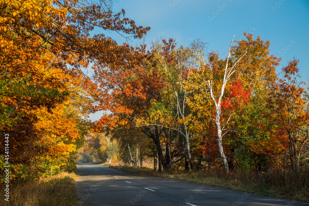 Beautiful autumn landscape with the road and the sun's rays of the setting sun.