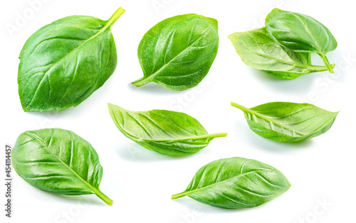 Set of fresh green basil leaves isolated on white background.