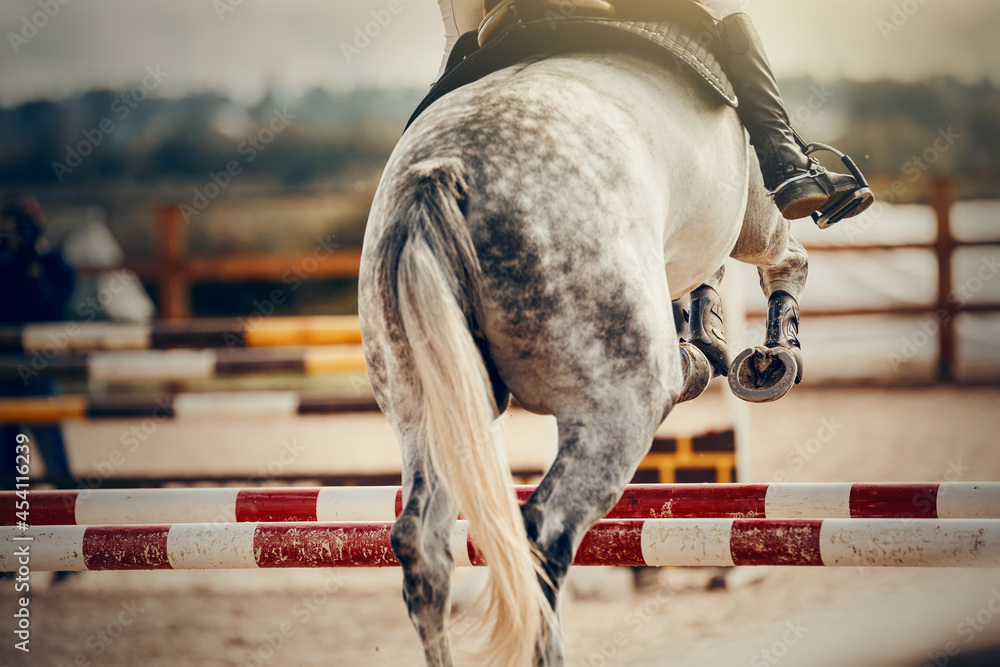 The shod hooves of a horse over an obstacle. The horse overcomes an obstacle. Equestrian sport, jumping. Overcome obstacles.