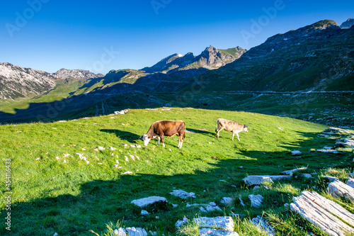 Góry Durmitor - Czarnogóra 