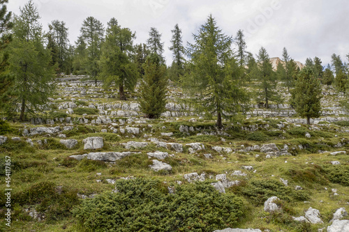 groundhog parliament dolomites fanes valley photo