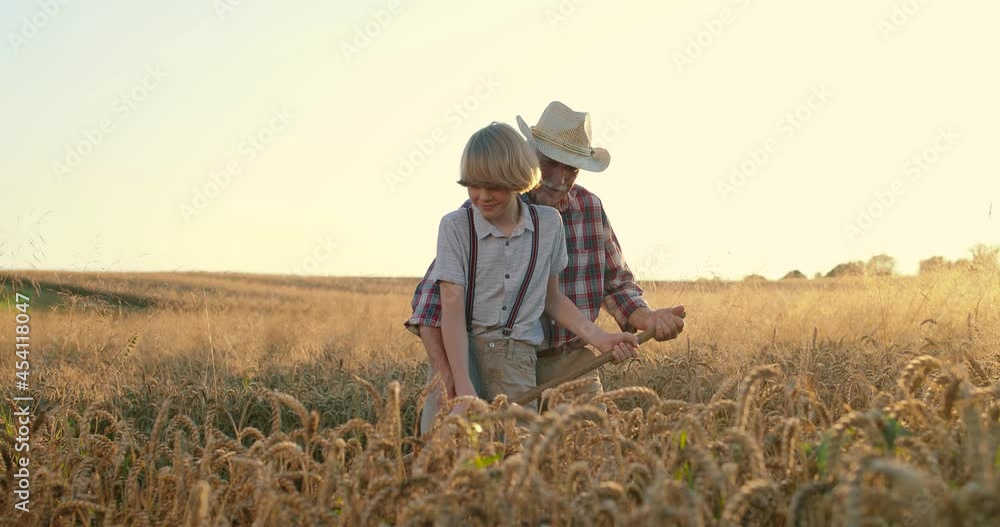 Full length view of the senior caucasian good looking wise man farmer in a hat looking at the field and mow the wheat with his grandson. Agricultural concept Full length view of the senior caucasian good looking wise man farmer in a hat looking at the field and mow the wheat with his grandson. Agricultural concept