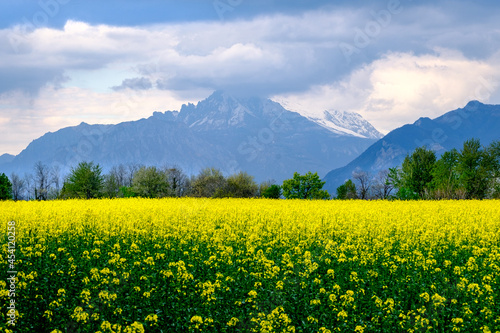 Paesaggio agricolo