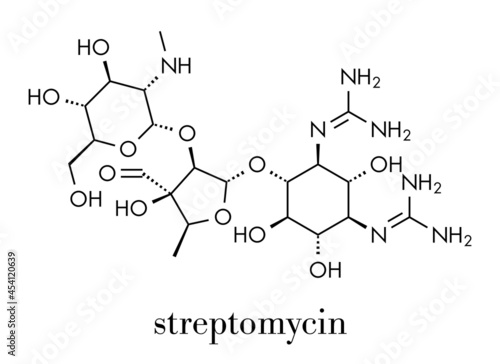 Streptomycin tuberculosis antibiotic (aminoglycoside class) molecule. Skeletal formula.